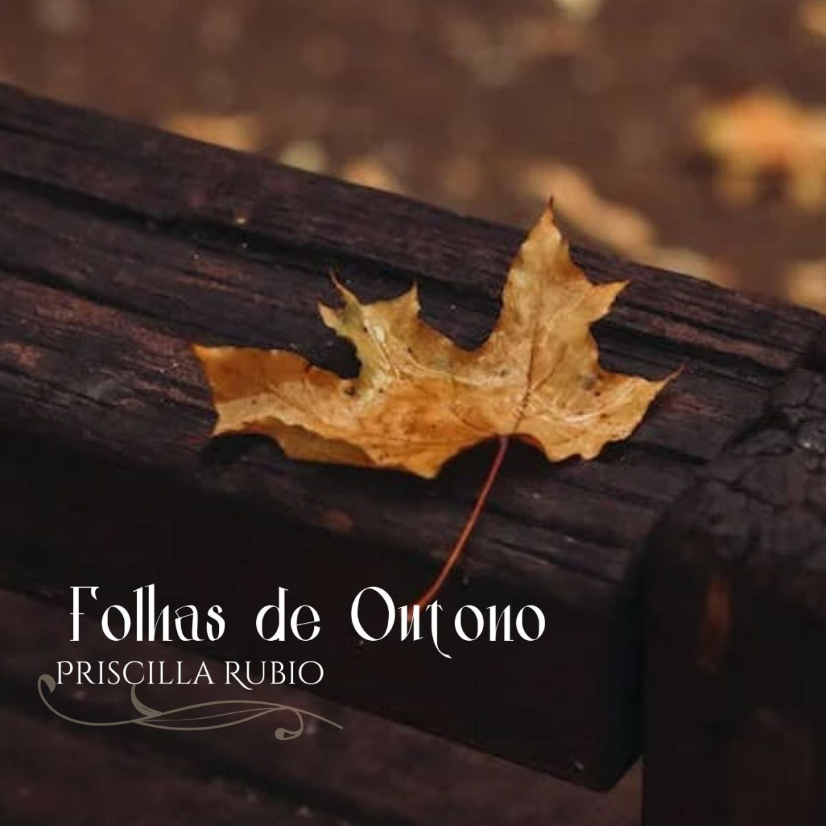 Folhas de Outono