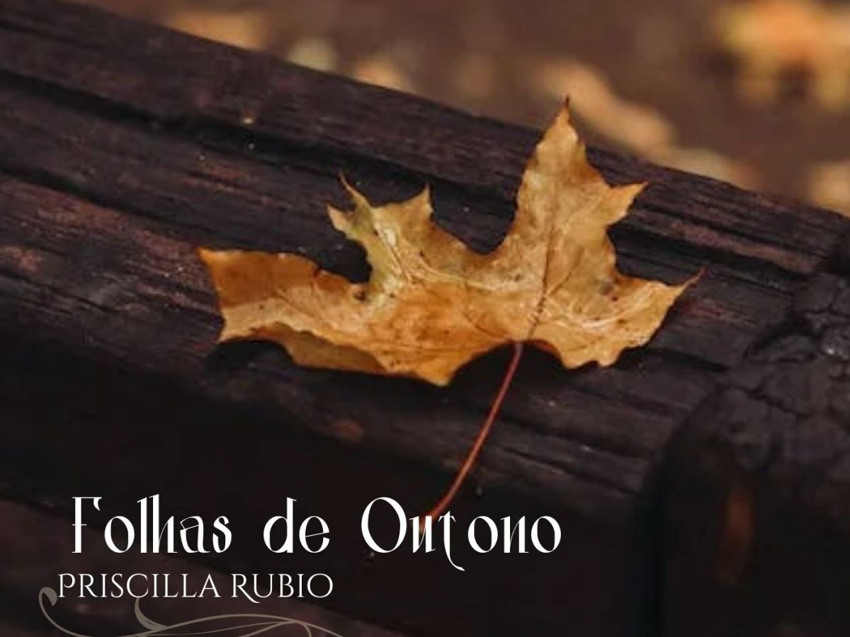 Folhas de Outono