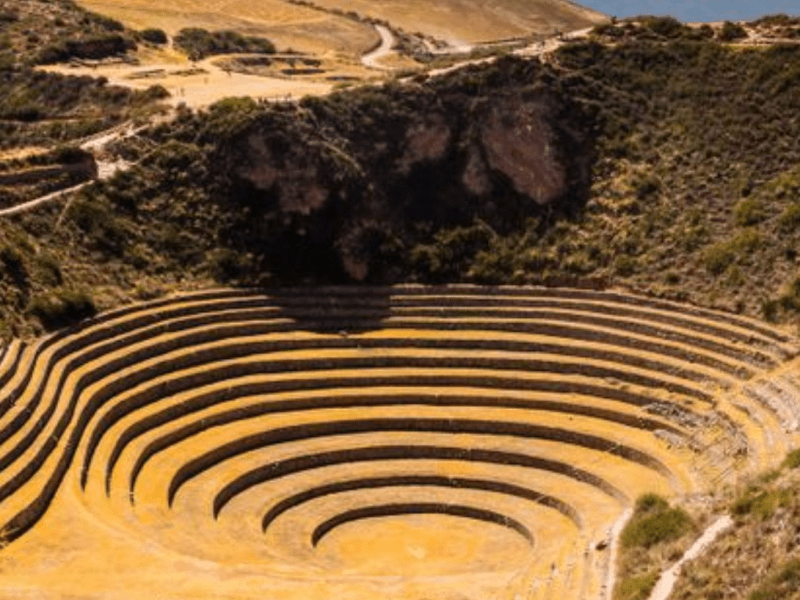 Entre lendas e silêncios: a colonização da América e a disputa pela&nbsp;memória