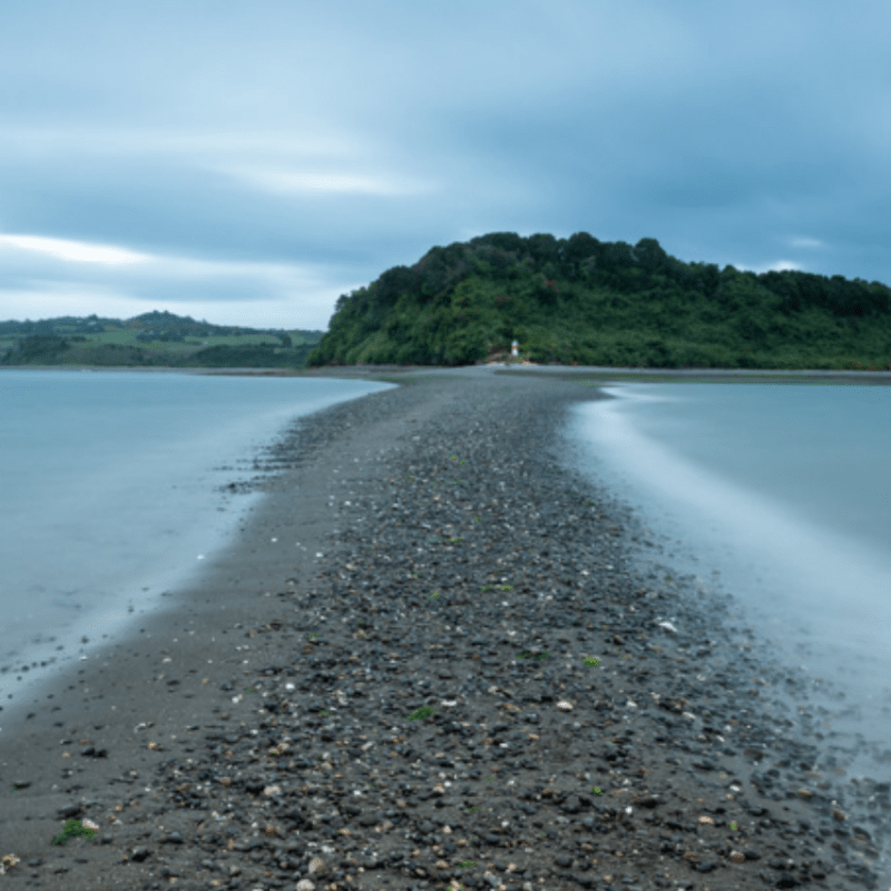Entre a Galícia e os Andes: as raízes celtas que cruzaram o&nbsp;Atlântico