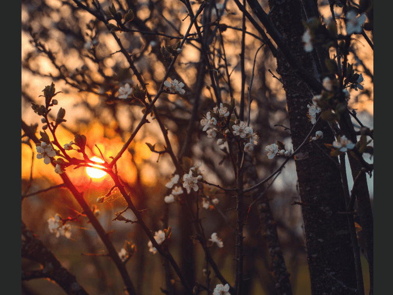 27 de Fevereiro –&nbsp;Reconexões